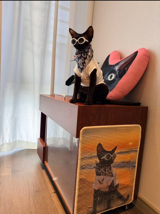 Custom Photo Print Sisal Cat Scratcher Mat - Personalized Rug for Cats, Anti-Slip & Durable