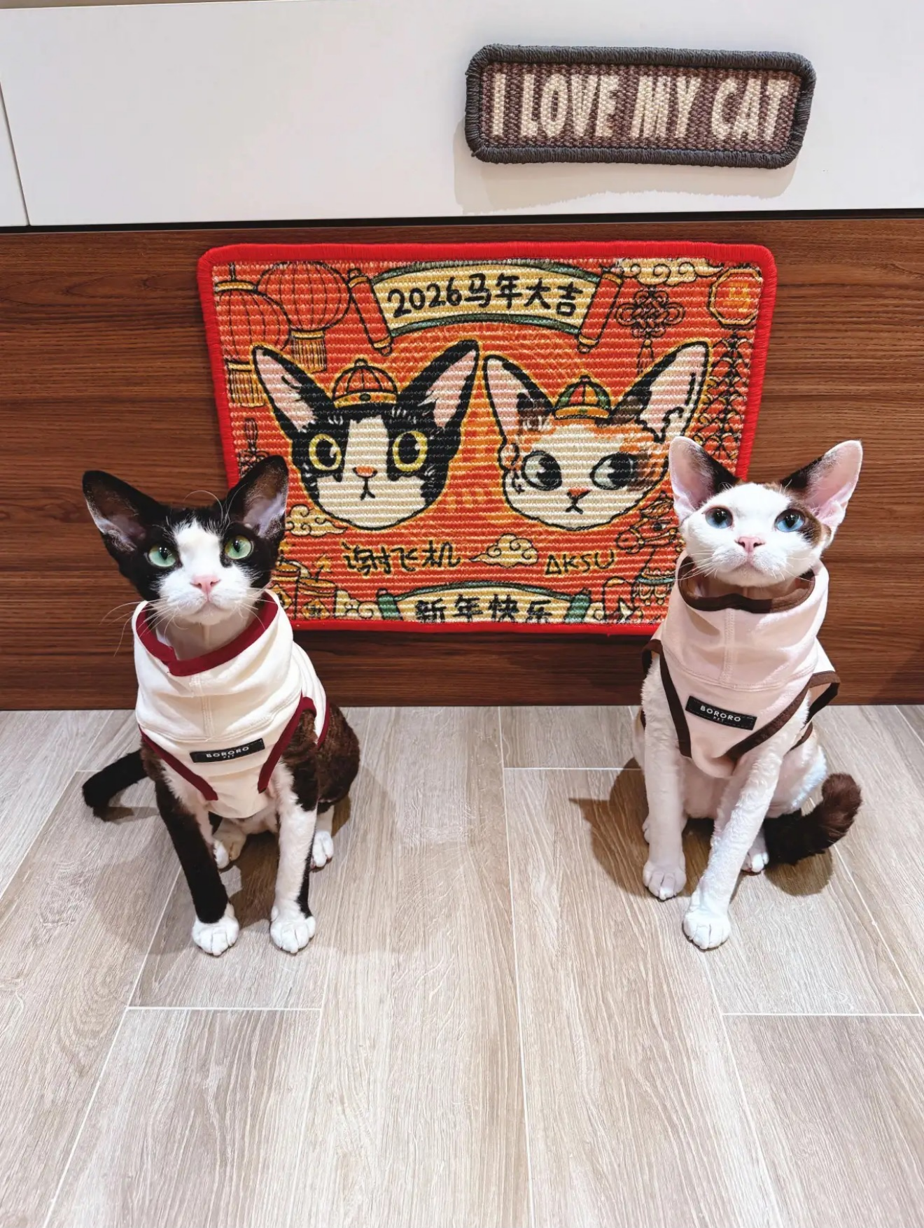 Custom Photo Print Sisal Cat Scratcher Mat - Personalized Rug for Cats, Anti-Slip & Durable